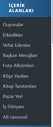İçerik Alanları (Web Sitesi İçerik Yönetimi)